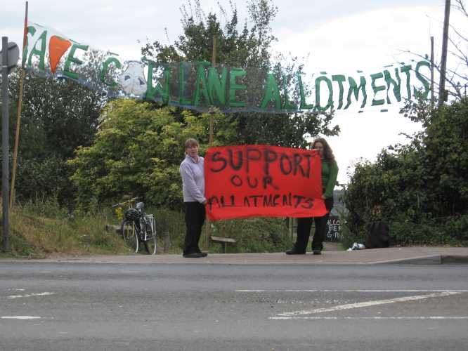 Cow Lane allotments