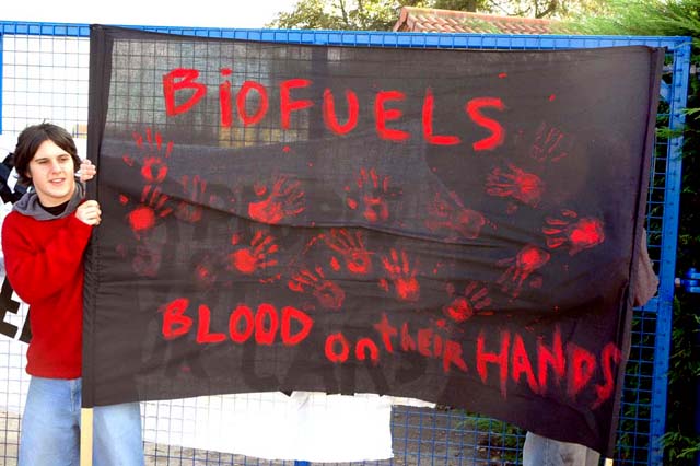 Biofuel banner 2