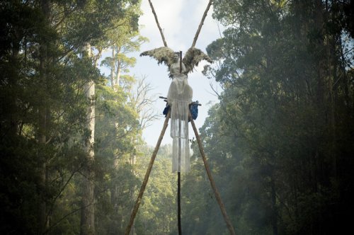 Tasmania angel on tripod