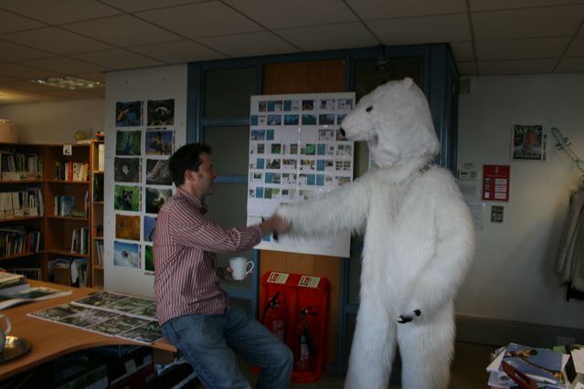 BBC Wildlife polar bear