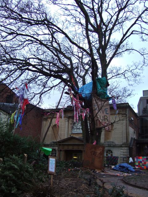 Oxford tree protest 3