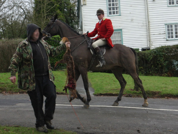 Surrey Union hunt sabbed