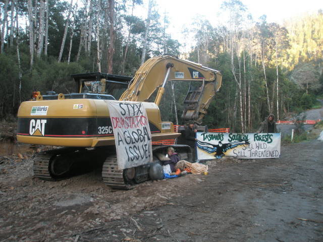 Tasmania Styx action