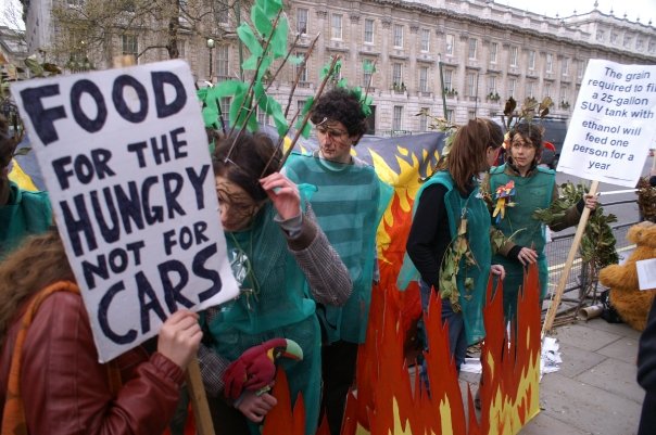 Greenpeace on top of plane