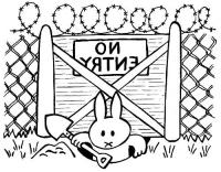 Rabbit under fence