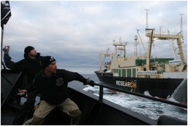 rotten butter throwing Sea Shepherd style