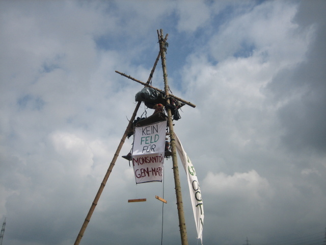 German tripod against GM field