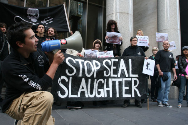 Canadian consulate occupation, Melbourne