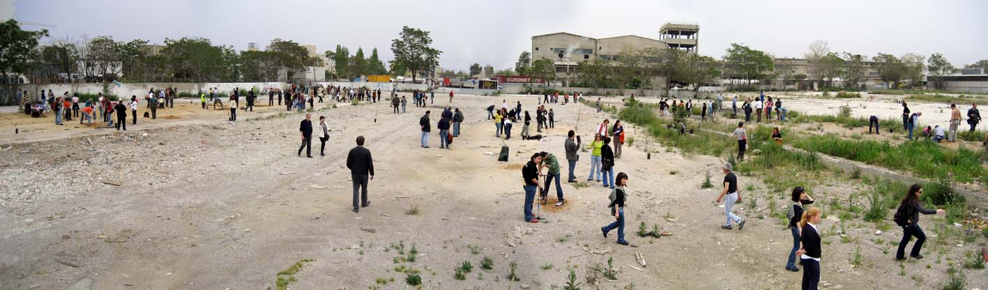 Tree planting in Greece against urban sprawl