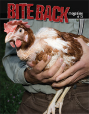 Bite Back Magazine #13 - Out Now! 