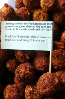 Amsterdam on food & climate change day 1