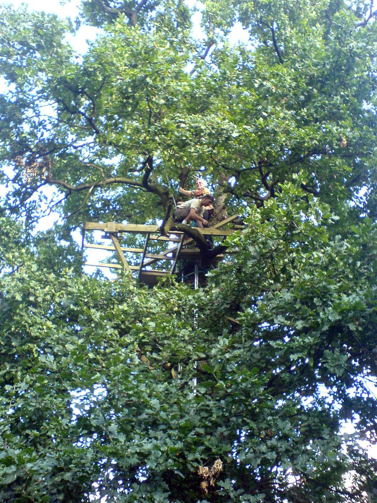 Wembley treehouse