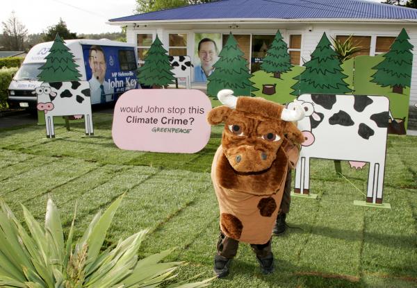 NZ MP dairy conversion