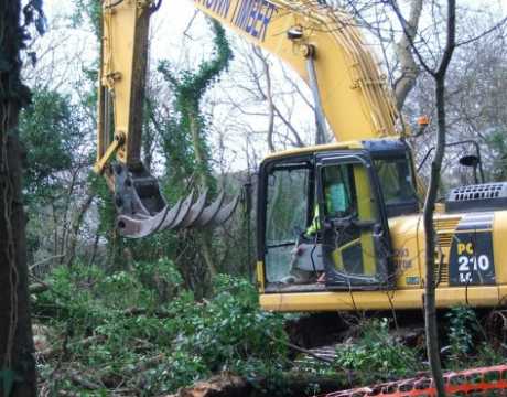 2 Mile Coppice in summer time