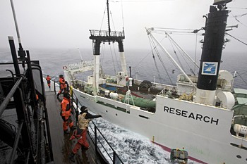 Steve Irwin clashes with Kaiko Maru