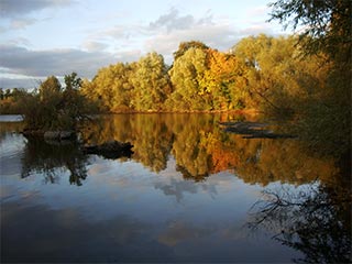 Thrupp Lake at sunset