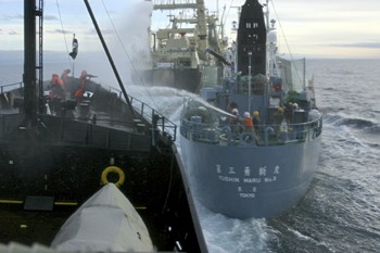 Sea Shepherd rotten butter & collision