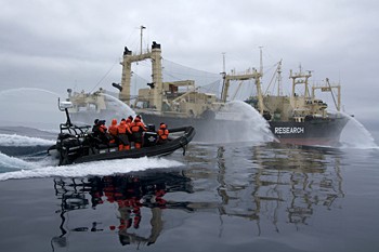 Sea Shepherd water-cannoned