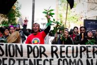 Mapuche mobilisation