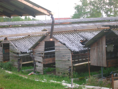 Two fur farms found abandoned in Italy