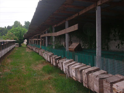 Two fur farms found abandoned in Italy