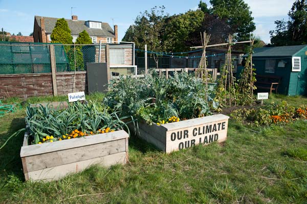 airplot allotment