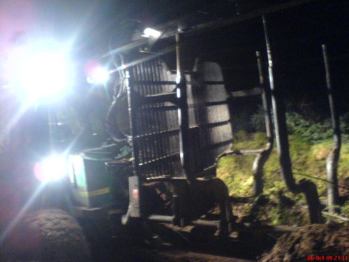 Tree felling stopped at night