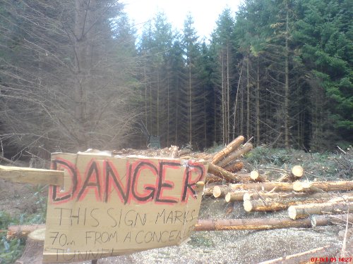 Tree felling and machinery working close to tunnels