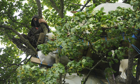 Up a tree at Mainshill