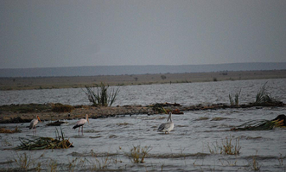 Lake Turkana