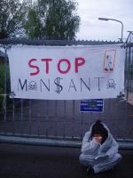 Monsanto Netherlands blockade 2