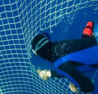 Cutting tuna nets