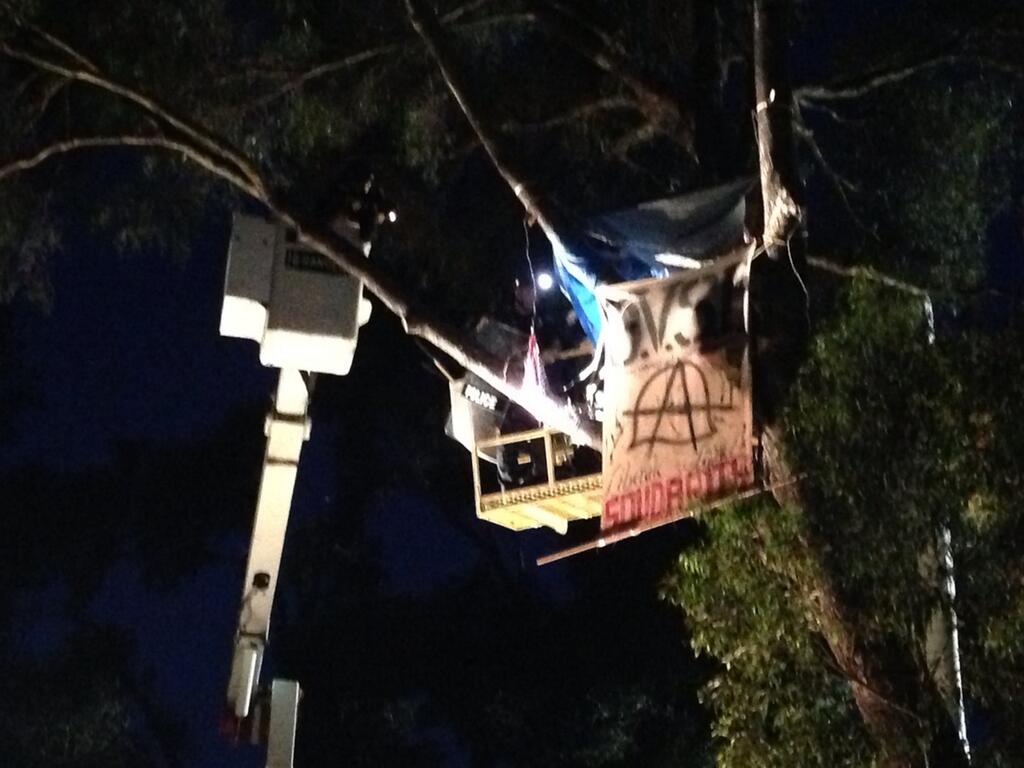 Police removing tree-sitter.