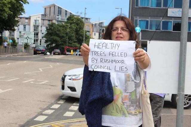 Healthy Trees Felled by Rushmoor Council Lies