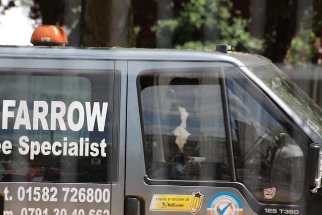 dog left all day in cab of truck