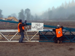 Picture from the May wick drain lock down.