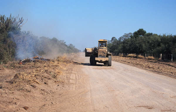 The land is titled to the Ayoreo, but the farmers have erected cattle fences and bulldozed wide tracks.