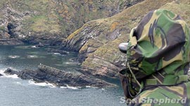 news-140417-1-2-Sea-Shepherd-UK-Taking-Action-to-Defend-Scottish-Seals-270w