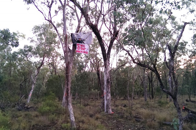 leard-forest-protest-1200-640x426