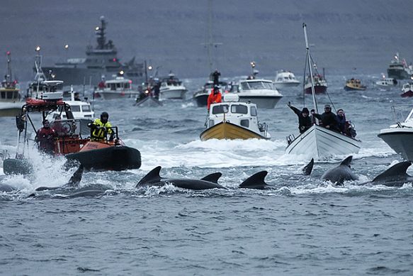 (Photo: Andrija Ilic/Reuters)